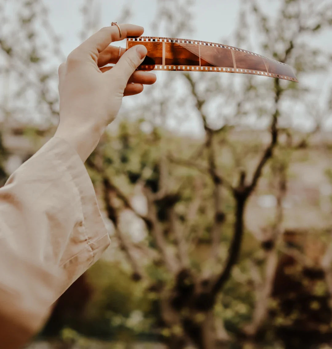 The Essential Role of Pocket Knives in Outdoor Adventures - Shokunin USA