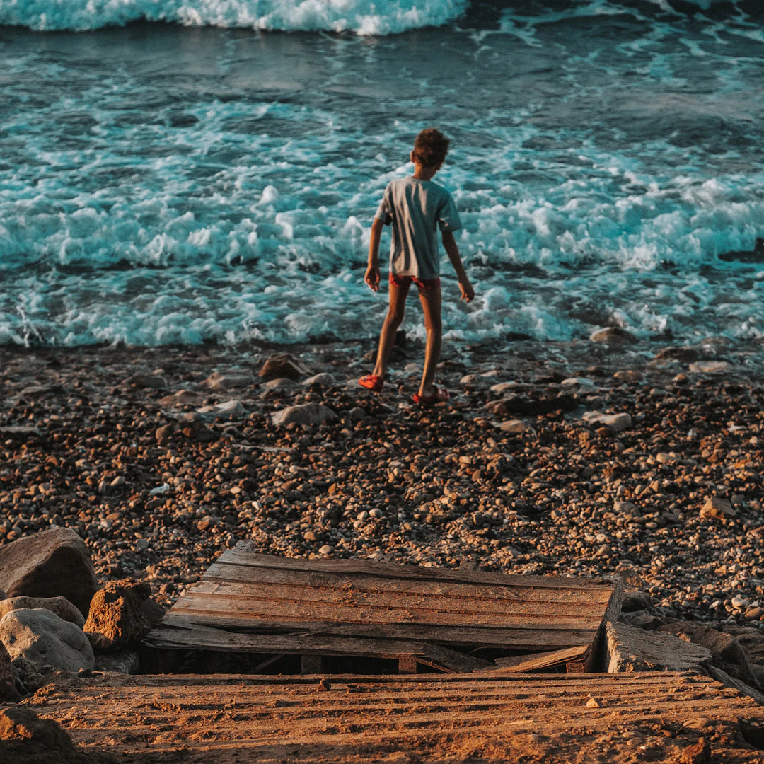 Survival Knives Must-Have Picks for Adventurers