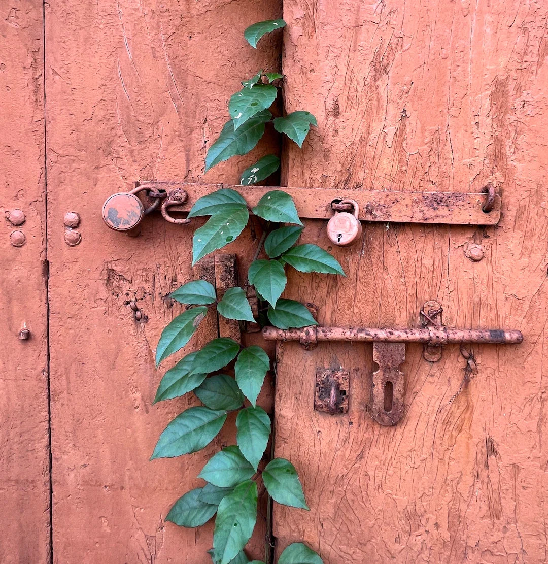 Crafting Integrity: Ethical Sourcing of Knife Materials - Shokunin USA