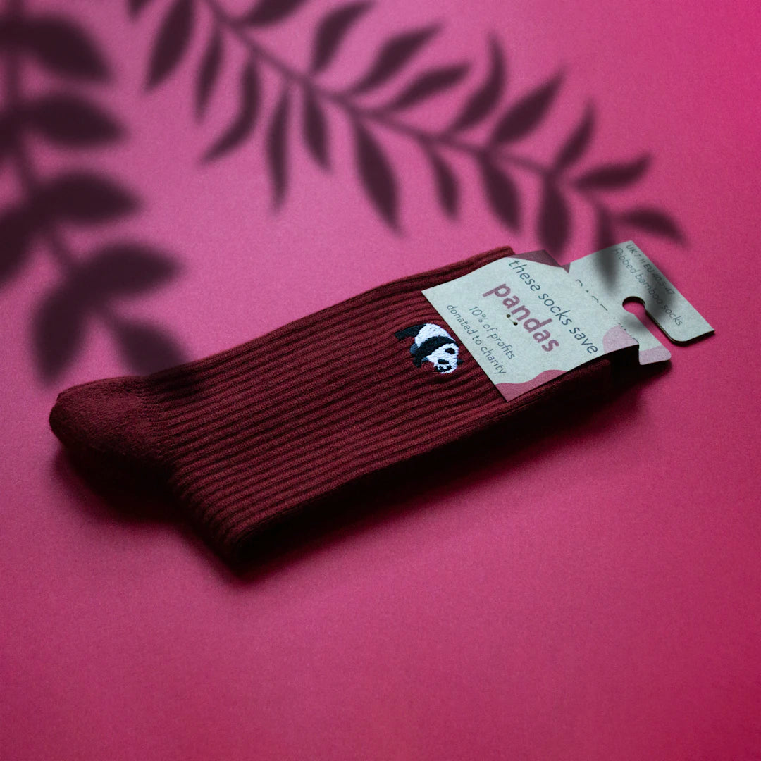 Essential Reasons Every Student Needs a Pocket Knife