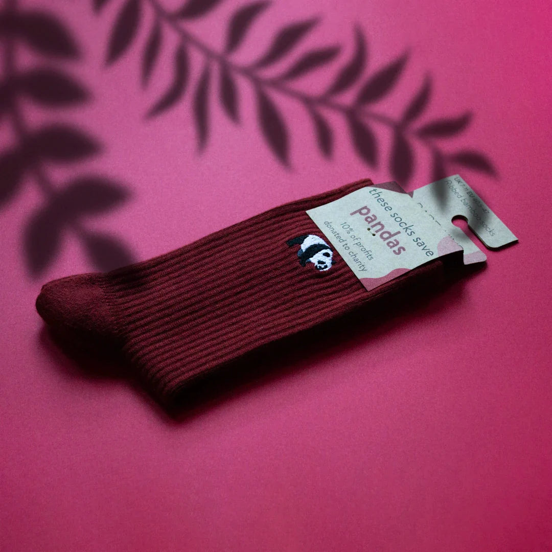 Building Your Pocket Knife Collection: Tips for New Collectors - Shokunin USA