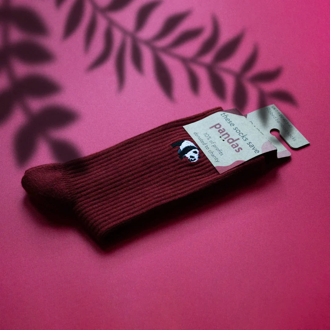 Essential Reasons Every Student Needs a Pocket Knife - Shokunin USA