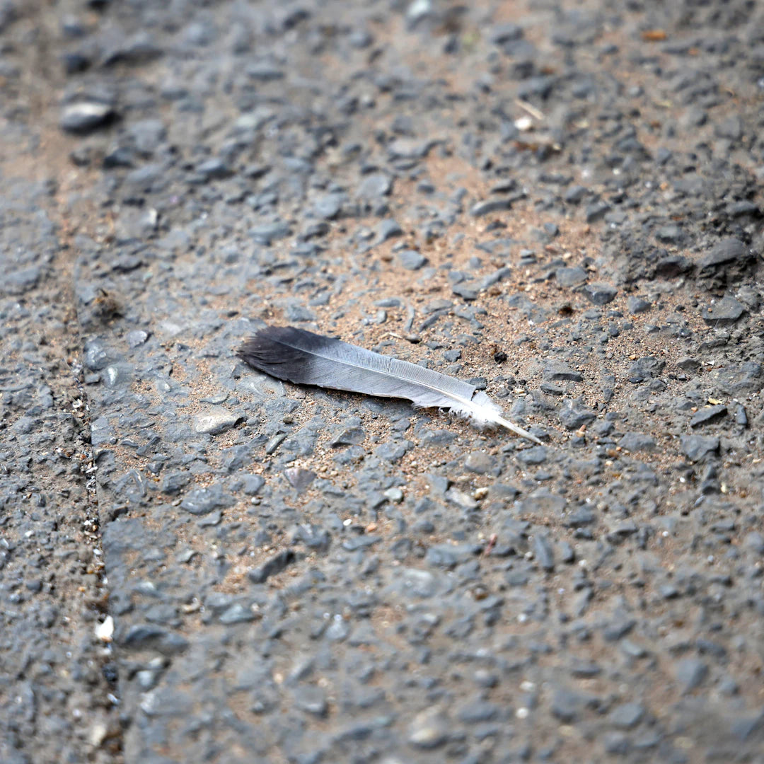 Discovering the Uniqueness of Pocket Knife Brands