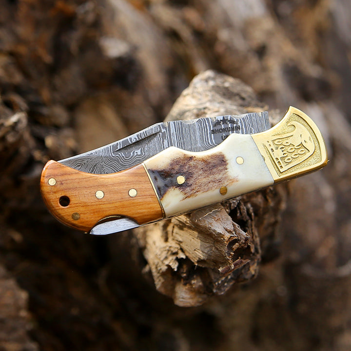 Echo Damascus Pocket Knife with Stag Horn/Antler & Olivewood Handle