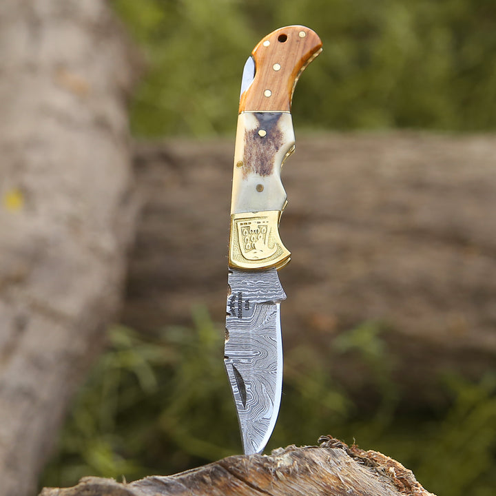 Echo Damascus Pocket Knife with Stag Horn/Antler & Olivewood Handle
