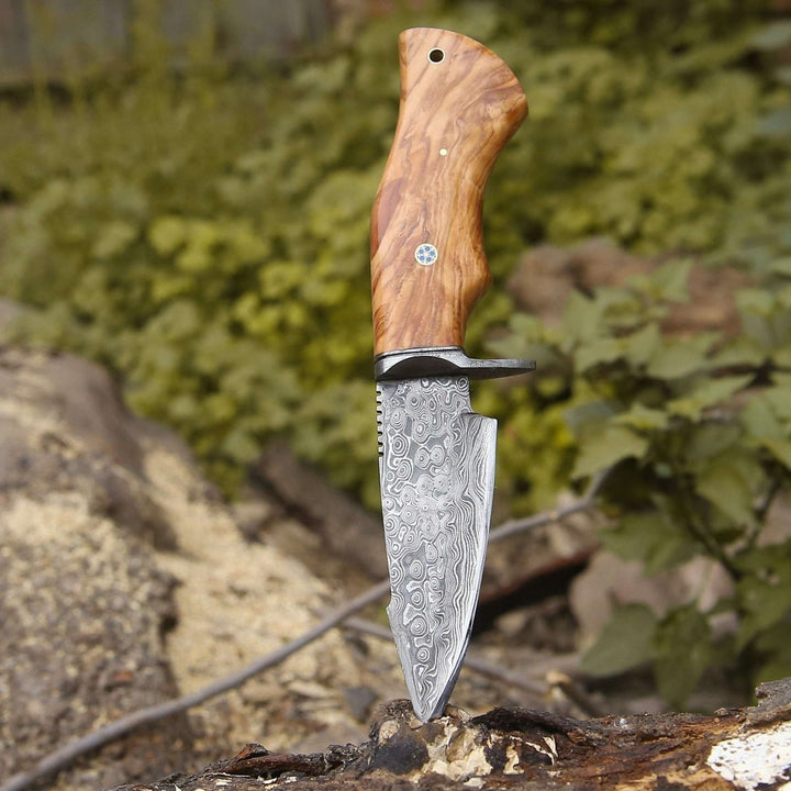 custom fixed blades - Outrider Damascus Custom Hunting Knife with Exotic Olive Wood Handle - Shokunin USA