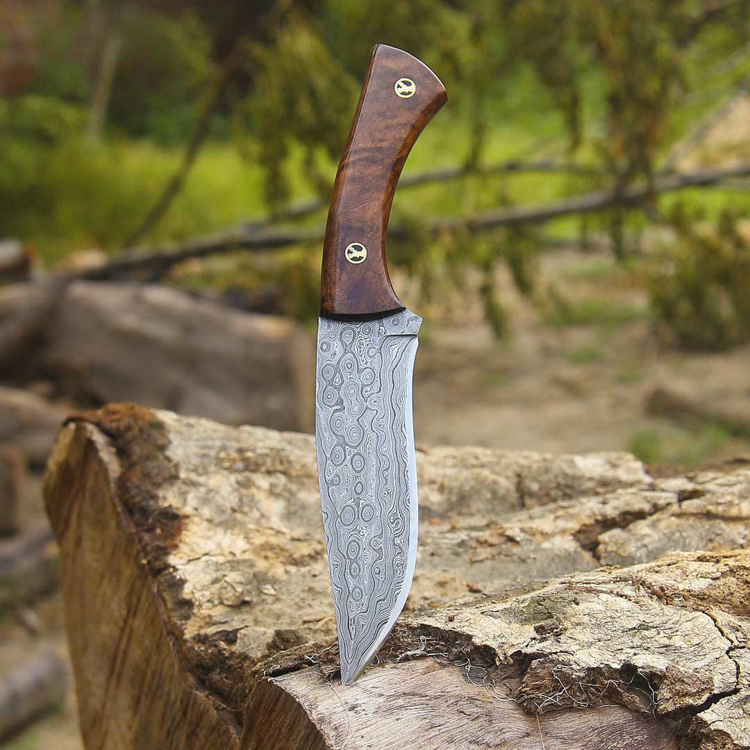 Knife Video Damascus Steel Blade Hand Showing Knife 