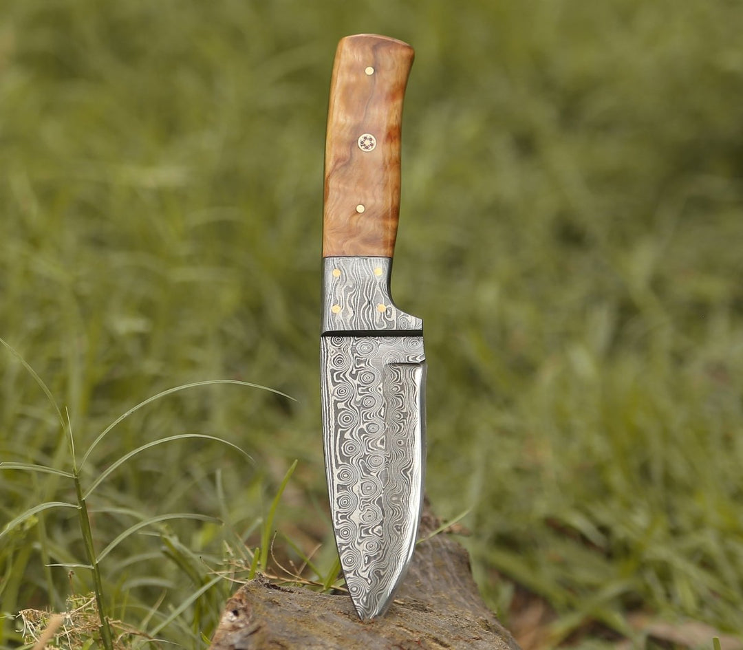 Quantum Camp Bowie - Quantum Camp Knife with Olive Wood Handle - Shokunin USA