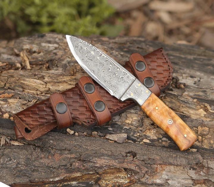Quantum Camp Damascus - Quantum Camp Knife with Olive Wood Handle - Shokunin USA