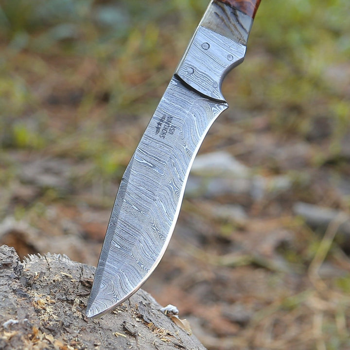 Stinger Hunting Handle - Stinger Custom Handmade Hunting Knife, With Ram Horn &amp; Rose Wood Handle - Shokunin USA