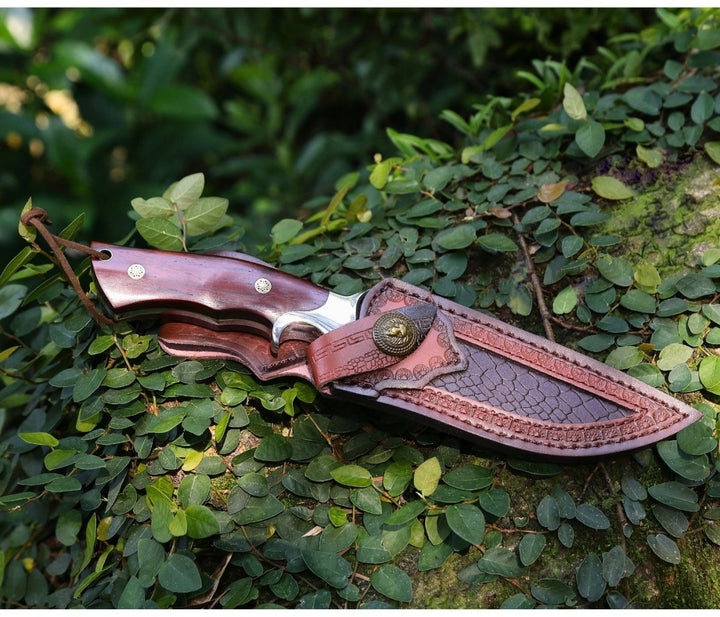 Velar Hunting Handle - Velar Japanese Hunting Knife with VG-10 Damascus Blade and Exotic Red Sandal Wood - Shokunin USA