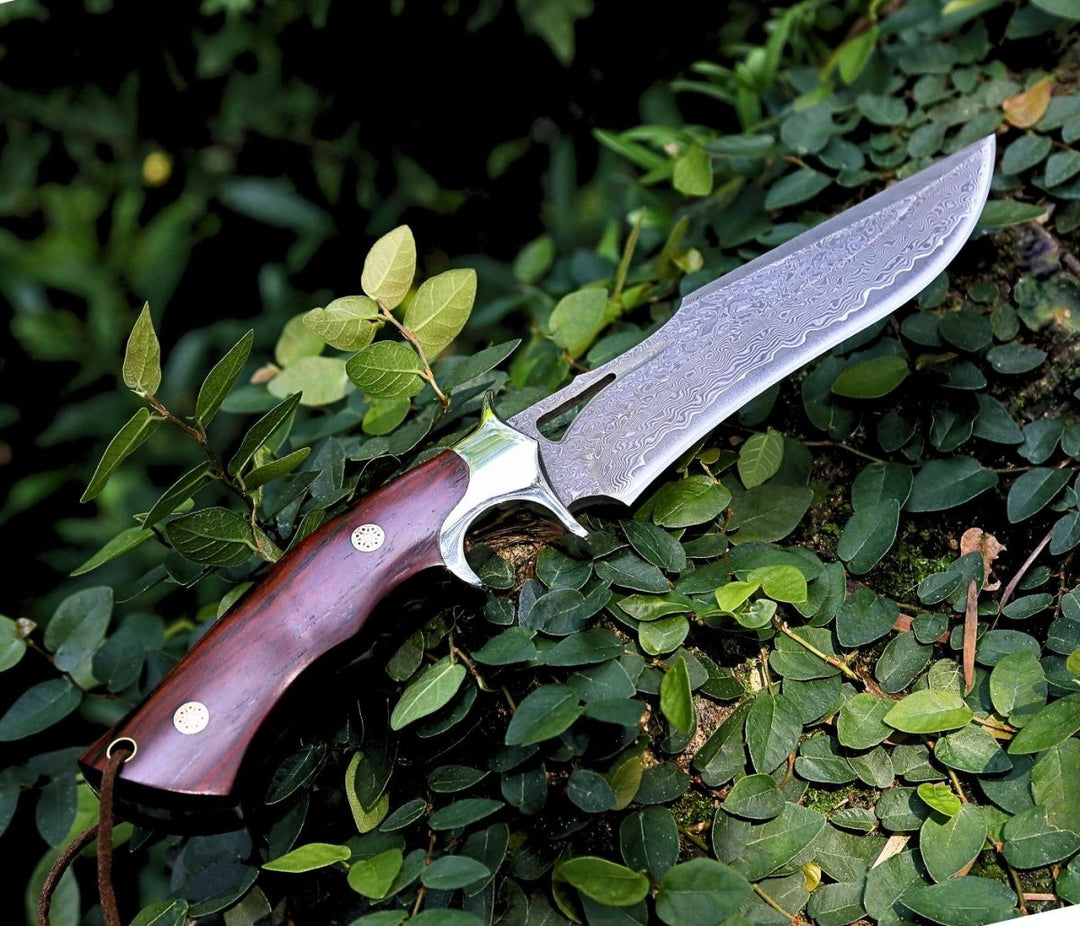 Velar Hunting Knife - Velar Japanese Hunting Knife with VG-10 Damascus Blade and Exotic Red Sandal - Shokunin USA
