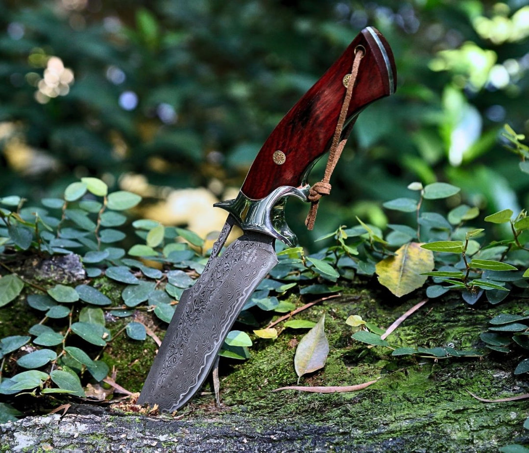 Velar Hunting Damascus - Velar Japanese Hunting Knife with VG-10 Damascus Blade and Exotic Red Sandal - Shokunin USA