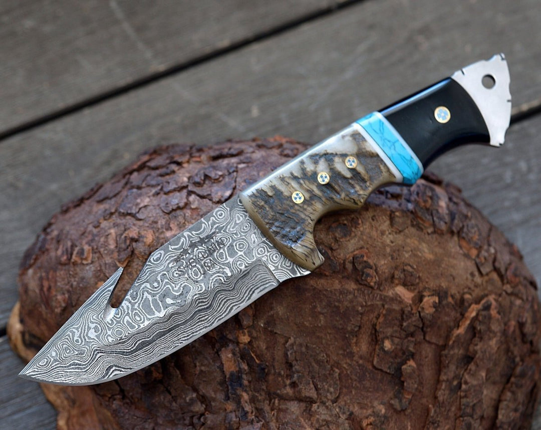 Vertex Gut Handle - Vertex Damascus Gut Hook Knife with Ram Horn &amp; Turquoise Handle - Shokunin USA