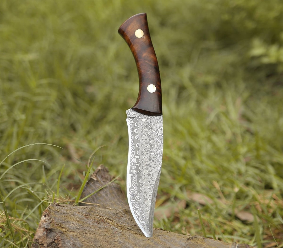 Virtue Damascus Blade - Virtue Damascus Hunting Knife Fixed Blade with Exotic Rose Wood Handle - Shokunin USA