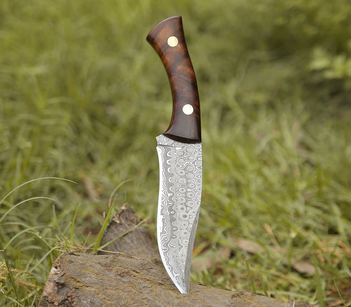 Virtue Damascus Blade - Virtue Damascus Hunting Knife Fixed Blade with Exotic Rose Wood Handle - Shokunin USA