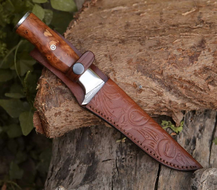 Fillet knife - Concord Damascus Fillet Knife with Exotic Olive wood Handle - Shokunin USA