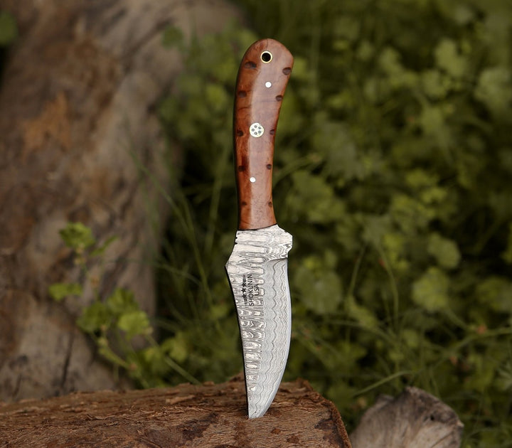 Damascus Knife - Spectral Field Dressing Knife with Olive Wood Handle - Shokunin USA