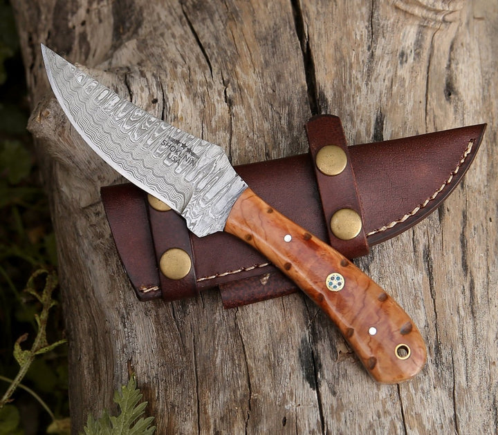 Damascus Knife - Spectral Field Dressing Knife with Olive Wood Handle - Shokunin USA